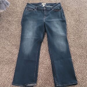 Lane Bryant Blue Boot Cut Jeans Classic Style